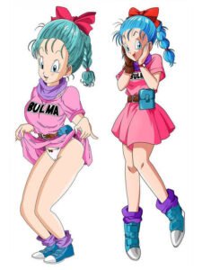 Bulma Body Pillow Bulma Cute