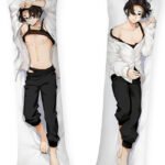 Sano-Shinichiro-body-pillows