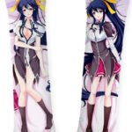 akeno-himejima-dakimakuras