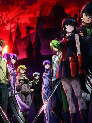 Akame ga Kill! Body Pillow