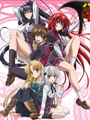 High School DxD Body Pillow