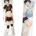 sukishima-Haikyu_-body-pillows