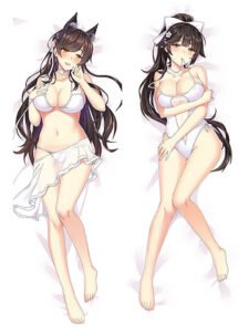 takao-waifu-dakimakuras